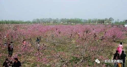 作为阜阳人,你知道阜阳有多少家A级景区吗?
